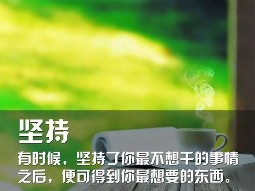 頑強,句子,拼搏,能量