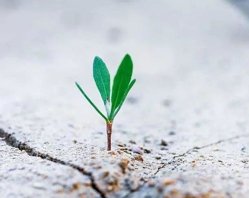 正能量的句子說說心情短語(yǔ),一個(gè)人正能量的句子說說心情短語(yǔ),感謝正能量的句子說說心情短語(yǔ)