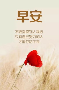 上岸勵志語(yǔ)錄正能量句子