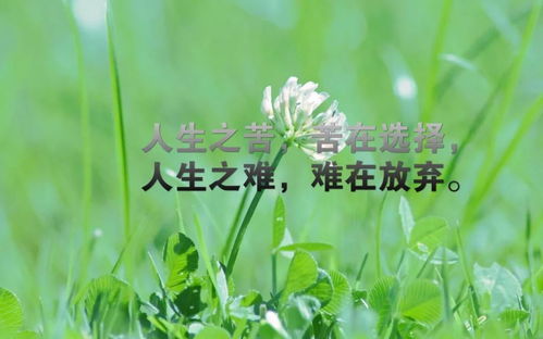 早安努力奮斗正能量句子