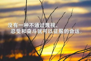 考研正能量句子簡(jiǎn)短,十月份正能量的句子經(jīng)典語句,生活陽光正能量的句子簡(jiǎn)短