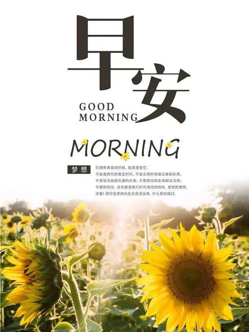 早安充滿正能量的句子10個(gè)字