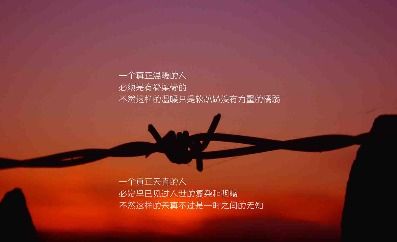 句子,災難,能量,面對