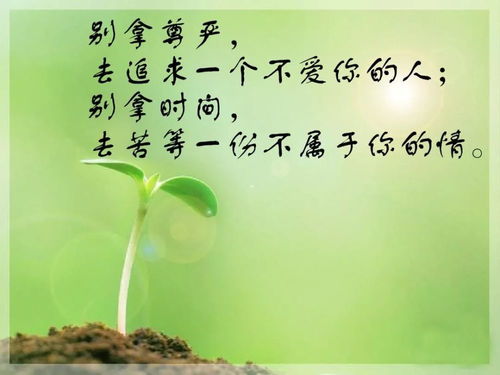 正能量簡(jiǎn)短的句子感悟人生