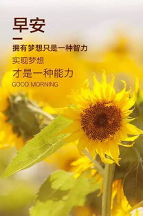 早安,句子,勵志,心語(yǔ)