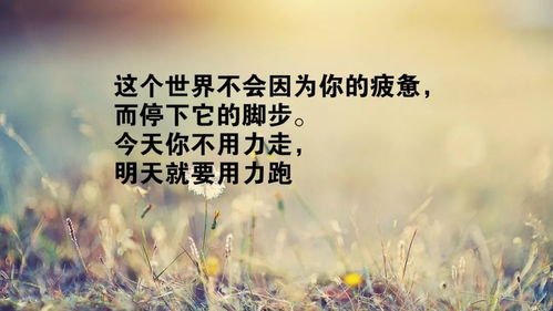 正能量滿(mǎn)滿(mǎn)的勵志短句子