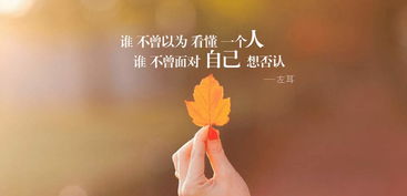 正能量的句子說說心情,開心正能量的句子說說心情,夫妻正能量句子說說心情