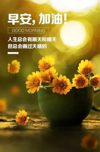 早安開(kāi)心正能量的句子,早安開(kāi)心幽默正能量的句子,早安簡(jiǎn)短一句話(huà)正能量句子