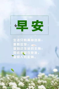 野心正能量的句子勵志
