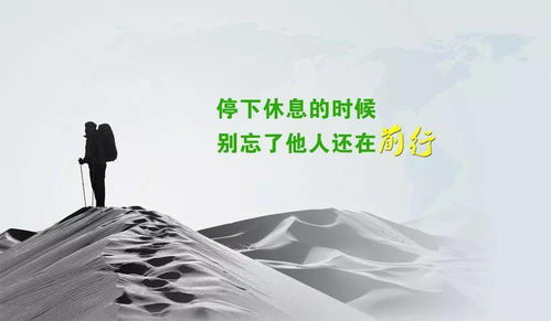 唯美感悟正能量句子