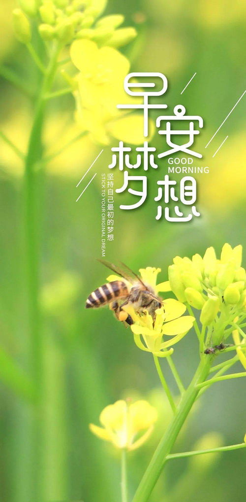 經(jīng)典好句子青青正能量
