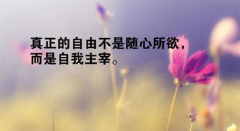 正能量的句子經(jīng)典語(yǔ)句,正能量滿(mǎn)滿(mǎn)的句子經(jīng)典短句,正能量陽(yáng)光的句子經(jīng)典短句