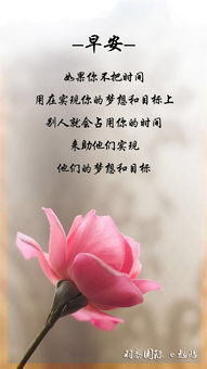 周六早安心語(yǔ)正能量句子