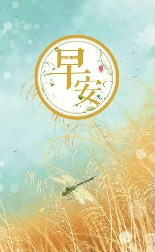 句子,能量