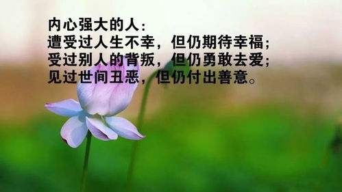 2021早安正能量句子勵志,2021工作勵志的句子正能量,2021新年勵志正能量的句子
