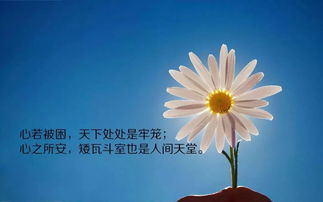 早安,句子,勵志,能量