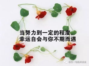 端午節,句子,拼搏,能量