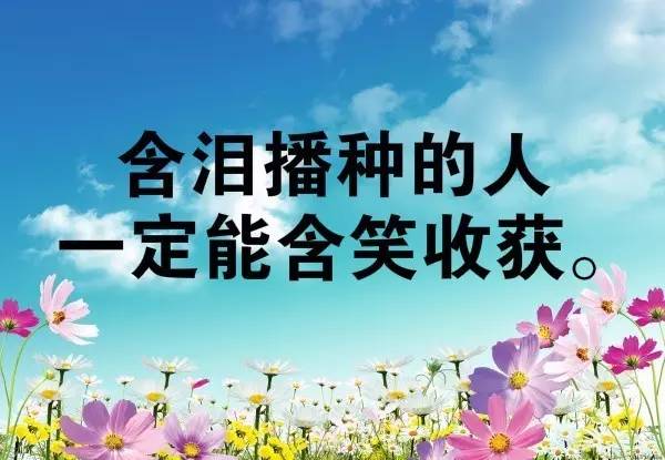 激勵班級正能量的句子,班級積極向上正能量的句子,班級團隊精神正能量的句子
