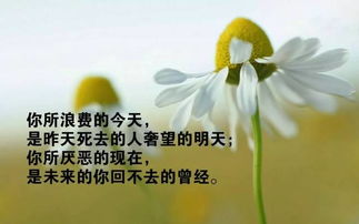 正能量句子勵志短句子,下午上班正能量的句子,下午發(fā)的正能量句子