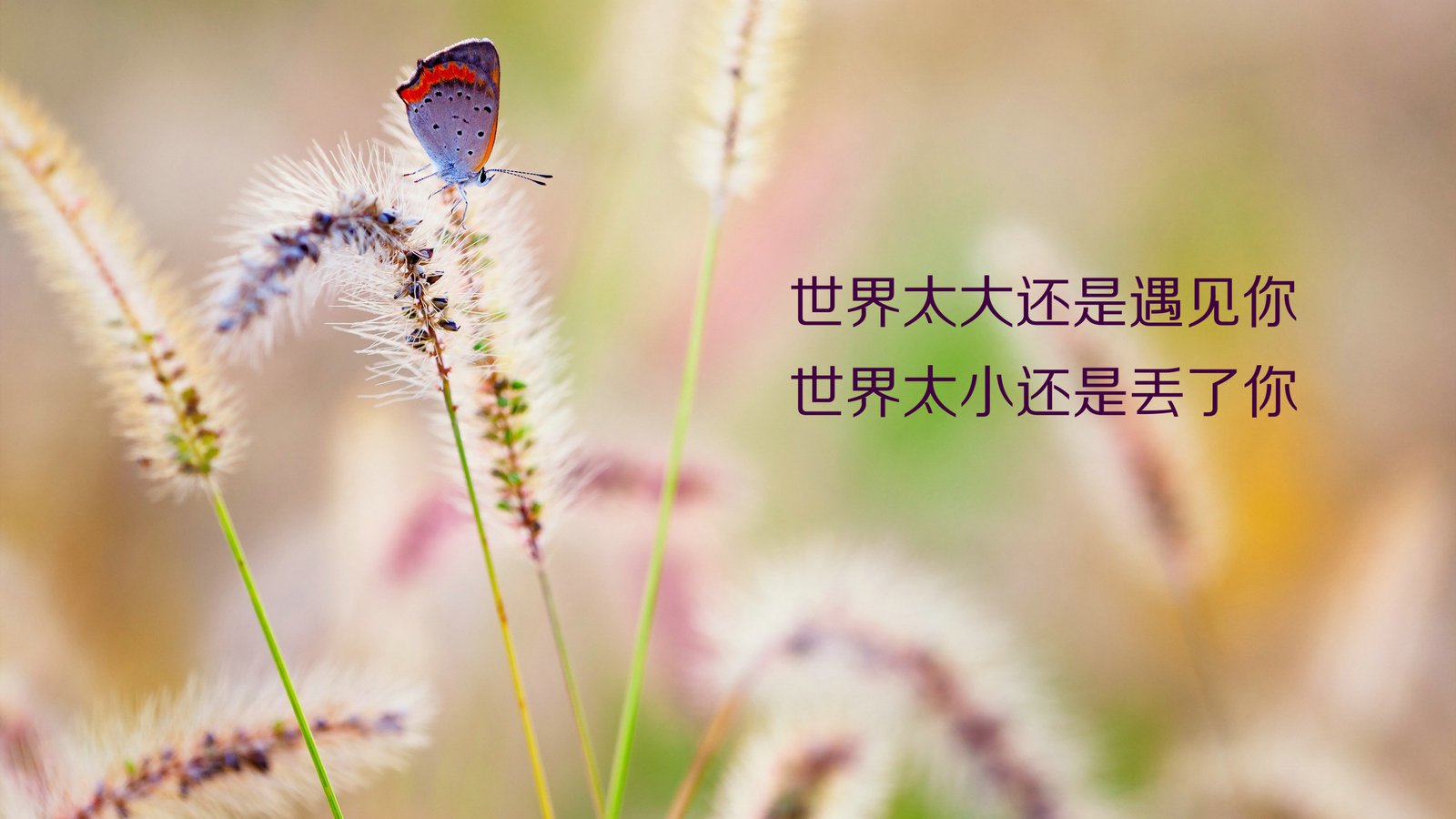 微商早安心語(yǔ)正能量,微商晚安心語(yǔ)正能量,早安語(yǔ)錄正能量句子
