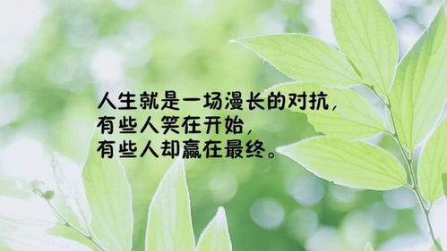 晚安致自己正能量發(fā)圈的句子,正能量發(fā)圈的句子經(jīng)典語(yǔ)句,正能量勵志發(fā)圈的句子