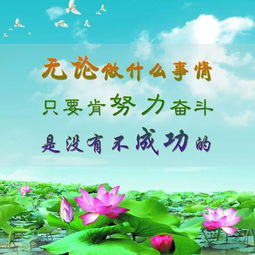 堅持了努力了就不后悔的正能量句子,早安堅持努力正能量的句子,堅持努力的句子正能量