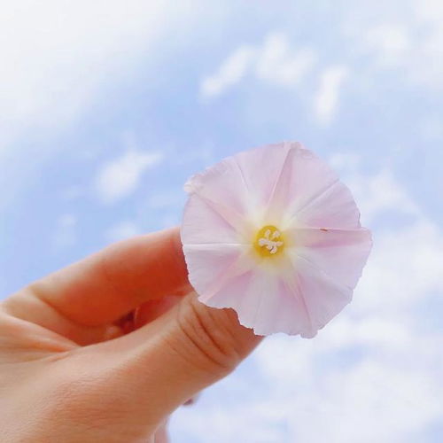 充滿陽(yáng)光正能量的短句子