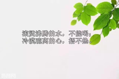 關(guān)于正能量雞湯的句子