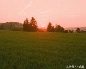句子能量不念網(wǎng)過(guò)往語(yǔ)錄的正