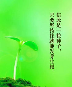 正能量語(yǔ)錄集正能量句子精選早安