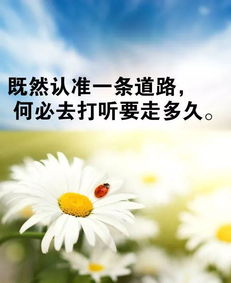 熱愛(ài)祖國(guó)正能量的句子,陽(yáng)光正能量的句子,晚安正能量句子