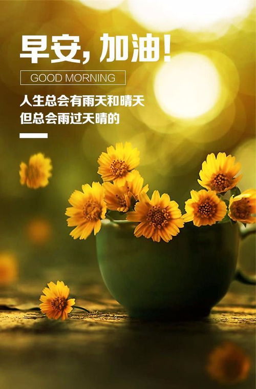 干凈正能量的句子簡(jiǎn)短