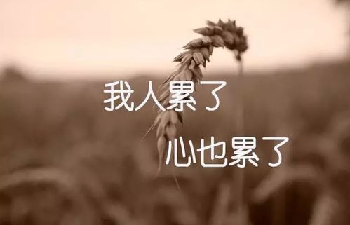 生活好累好壓抑的句子正能量,生活勵(lì)志的句子正能量,生活不易的句子正能量