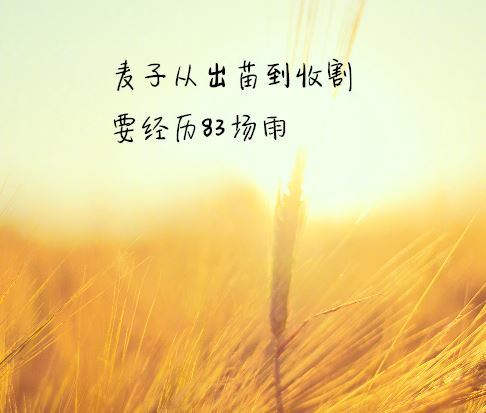 早上好正能量勵(lì)志句子正能量說說朋友圈,勵(lì)志工作正能量句子說說心情,早上勵(lì)志的說說正能量經(jīng)典句子
