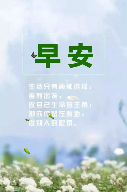 正能量句子宿舍
