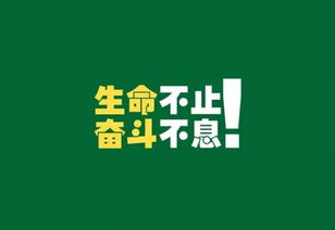 考研正能量的句子經(jīng)典語錄,考研正能量句子鼓勵考研,考研正能量句子簡短