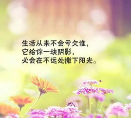 兒童勵志句子正能量,兒童健身正能量激勵勵志的句子,早安銷(xiāo)售正能量朋友圈句子大全集