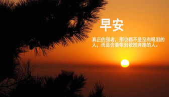 正能量一句話勵(lì)志短句子,正能量走心的句子簡(jiǎn)短一句話,今日收獲正能量的句子一句話