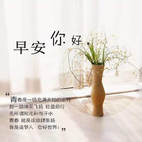 感恩的心句子正能量散文,護士感恩的心正能量句子,感恩的心簡(jiǎn)短的句子