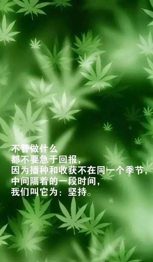 早安語(yǔ)錄正能量適合發(fā)朋友圈早安的句子