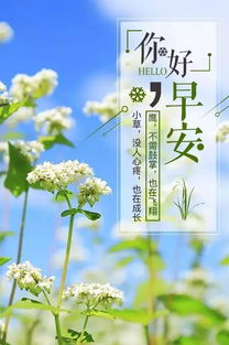 句子,能量,珍惜