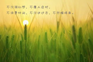 早安勵志正能量的句子簡(jiǎn)短,清晨勵志正能量的句子簡(jiǎn)短,學(xué)生勵志簡(jiǎn)短正能量句子