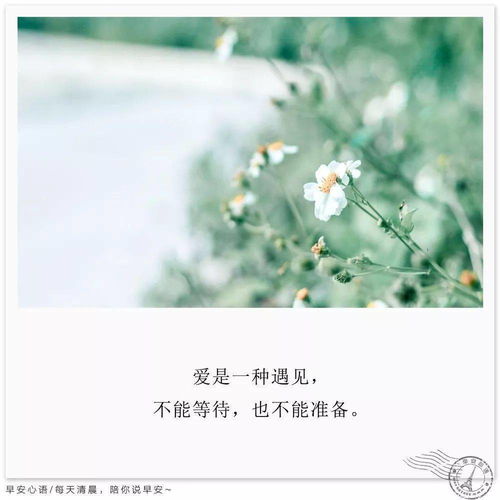 早安正能量朋友圈高質(zhì)量句子,早安勵志正能量的句子朋友圈,早安勵志正能量滿(mǎn)滿(mǎn)的句子朋友圈
