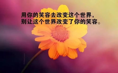 頓悟人生的正能量句子