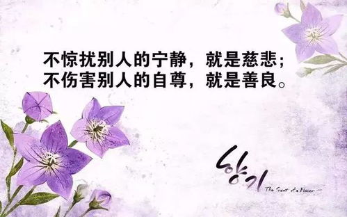 正能量女人的句子經(jīng)典語(yǔ)句,女人霸氣正能量的句子經(jīng)典語(yǔ)句,女人獨立正能量的句子經(jīng)典語(yǔ)句