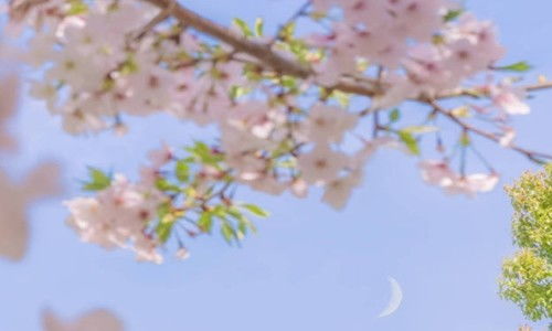 充滿陽(yáng)光的句子正能量的句子,新的一天充滿陽(yáng)光正能量的句子,早上充滿陽(yáng)光正能量的句子