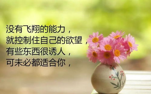 每天好心情的正能量的句子,天氣好心情好的正能量句子,保持好心情的正能量句子