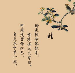 古風(fēng),句子,名言,能量