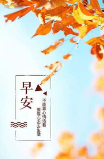 女性早安正能量句子6