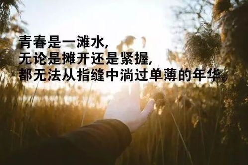 名人正能量哲理句子,佛家正能量哲理的句子,句句精辟正能量的哲理句子